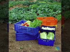 27L 軽量 折りたたみ 箱 野菜 果物 ターンオーバー メッシュ 箱 ハンドル